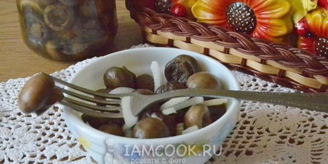 Рецепт маринада для грибов