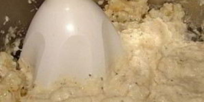 Рецепт соуса из сельдерея