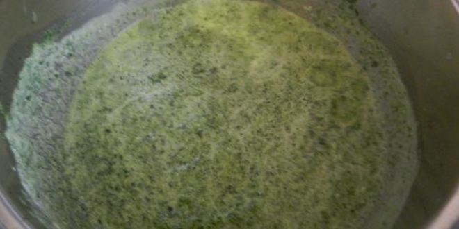 Рецепт соуса из шпината