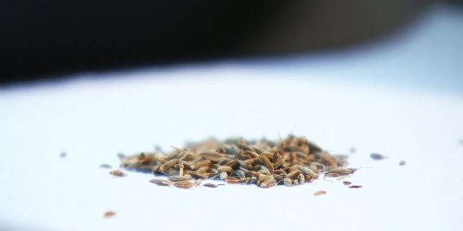 Рецепт соуса ранчеро