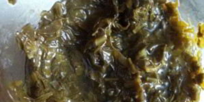 Рецепт борща из щавеля консервированного