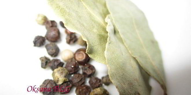 Рецепт борща с пампушками