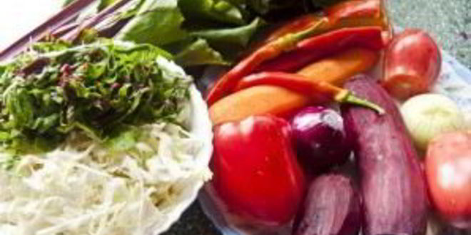 Рецепт овощного борща