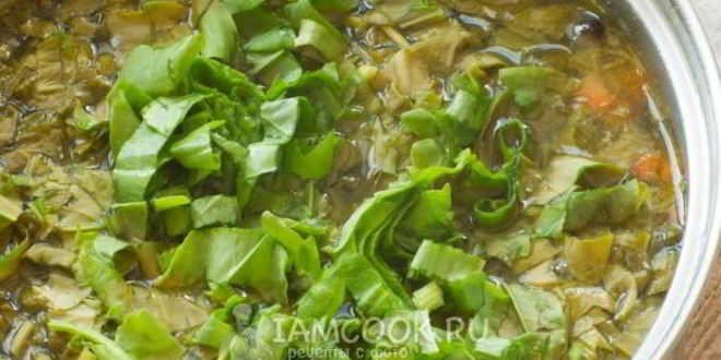 Рецепт зеленого борща без мяса