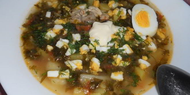 Рецепт зеленого борща с курицей и томатом