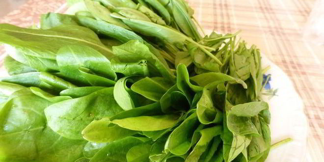 Рецепт зеленого борща