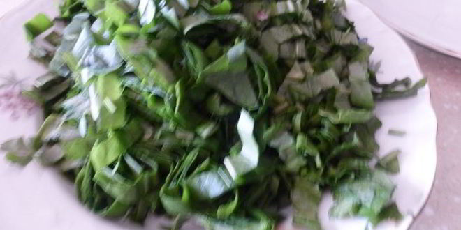 Рецепт зеленого борща