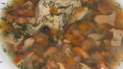 Рецепт Лисичек с курицей в бульоне