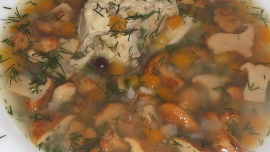 Рецепт лисичек с курицей в бульоне