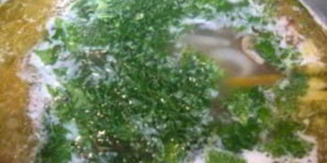 Рецепт супа из белых грибов на курином бульоне