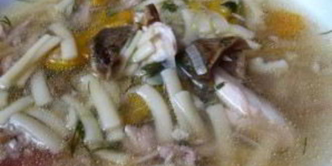 Рецепт супа из белых грибов на курином бульоне