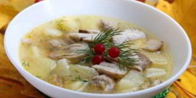 Рецепт супа из белых грибов на мясном бульоне