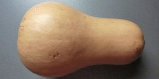 Рецепт супа на курином бульоне с мускатной тыквой и луком