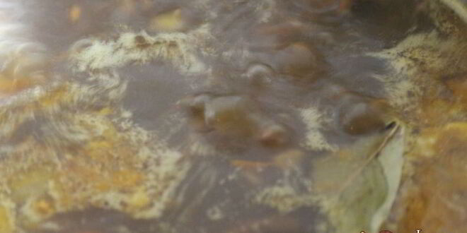 Рецепт супа с сушеными грибами и лапшой на курином бульоне