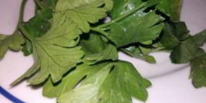 Рецепт диетического супа с овсянкой