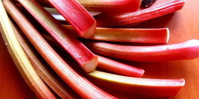 Рецепт гаспачо из ревеня и вишни