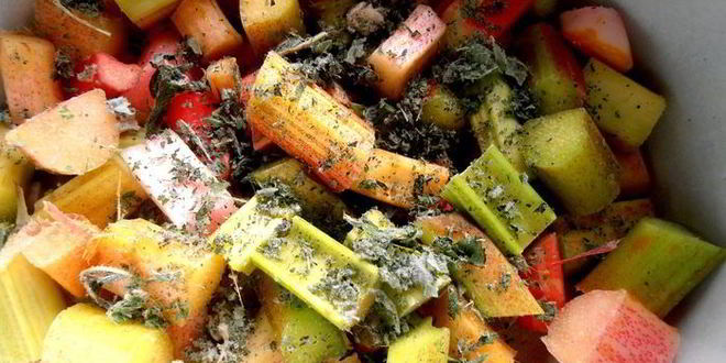 Рецепт гаспачо из ревеня и вишни