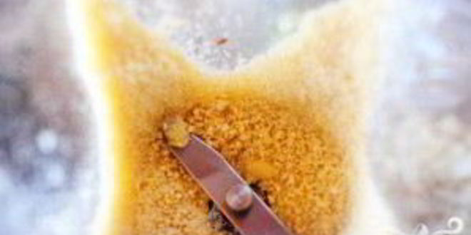 Рецепт гаспачо с крабовым салатом