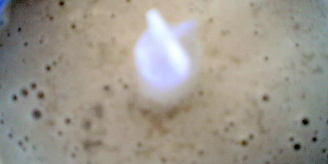 Рецепт ахобланко-испанского холодный суп из миндаля