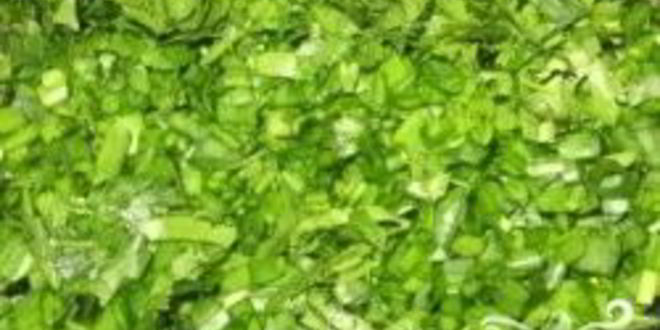 Рецепт холодника из свеклы на воде