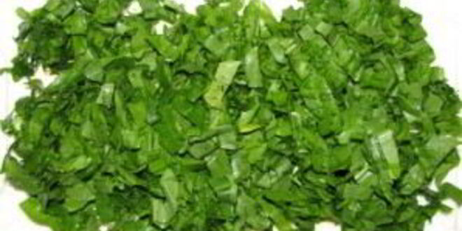 Рецепт холодника по-белорусски на кефире