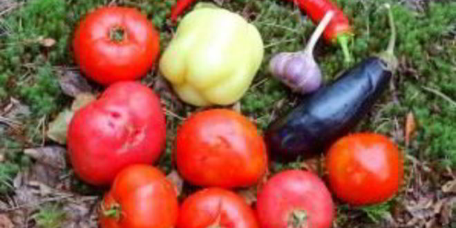 Рецепт охотничьего шулюма из дичи