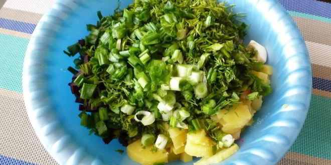 Рецепт окрошки со свеклой и мацони