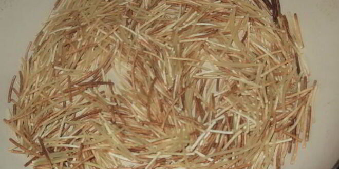 Рецепт супа с фрикадельками и овощами