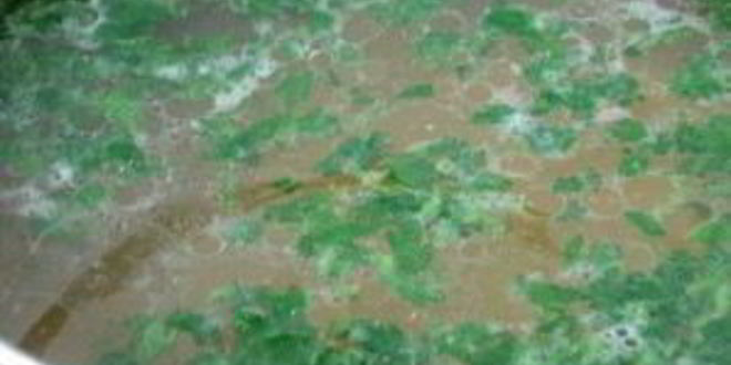 Рецепт рассольника рыбного классического