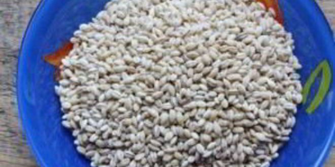 Рецепт заправки для рассольника с перловкой на зиму