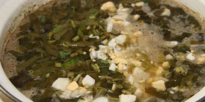 Рецепт щавелевого супа с чечевицей