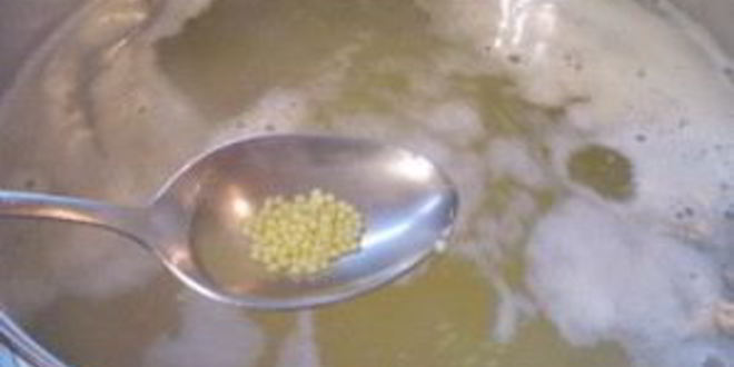 Рецепт диетических щей из свежей капусты