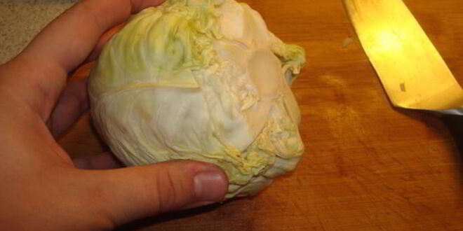 Рецепт кислых деревенских щей