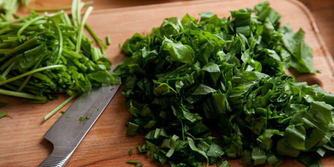 Рецепт классических щей из молодого щавеля