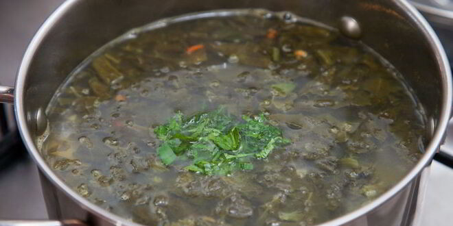 Рецепт классических щей из молодого щавеля