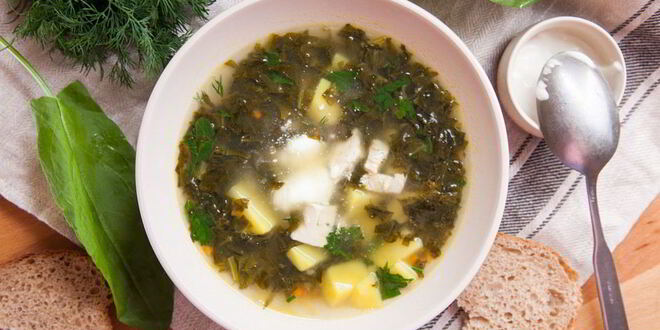 Рецепт классических щей из молодого щавеля