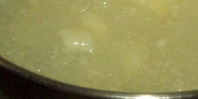 Рецепт постных щей из квашеной капусты с шампиньонами