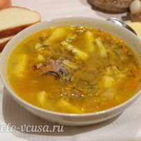 Рецепт Щей из кислой капусты с курицей