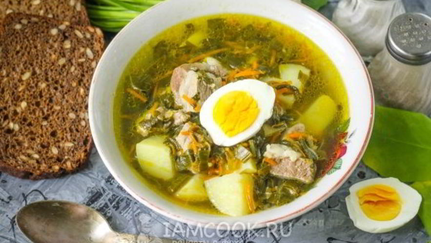 Рецепт щей из щавеля на мясном бульоне