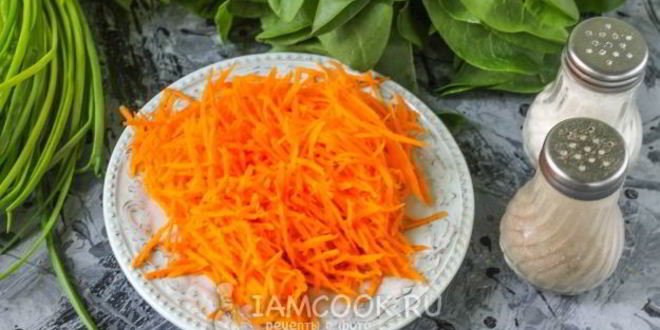 Рецепт щей из щавеля на мясном бульоне