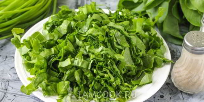 Рецепт щей из щавеля на мясном бульоне