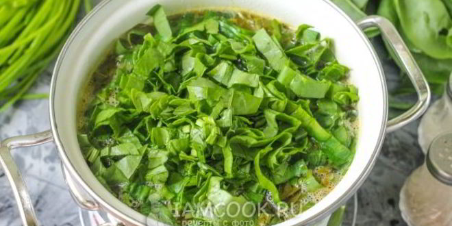 Рецепт щей из щавеля на мясном бульоне