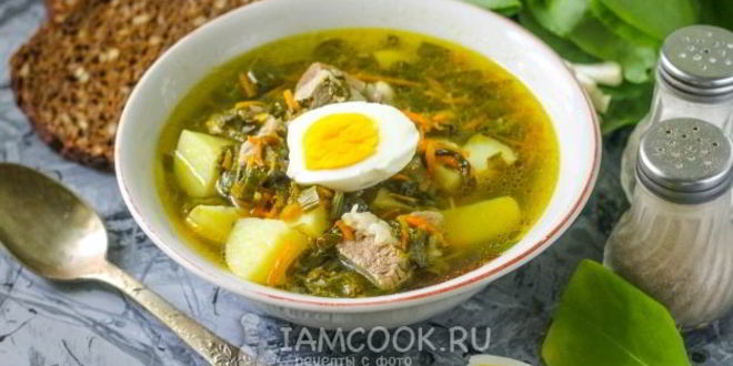 Рецепт щей из щавеля на мясном бульоне