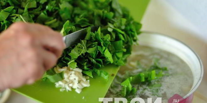 Рецепт щей из щавеля