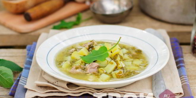Рецепт щей из щавеля