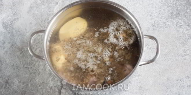 Рецепт щей из серой капусты