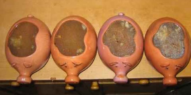 Рецепт щей из свежей капусты в духовке