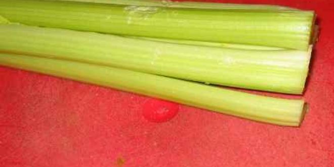 Рецепт щей из свежей капусты в духовке