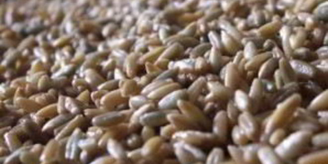 Рецепт щей московских