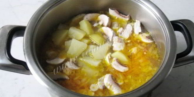 Рецепт щей с квашеной капустой и грибами